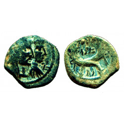 Nabatea - Aretas IV et Shaqilath - Ae19