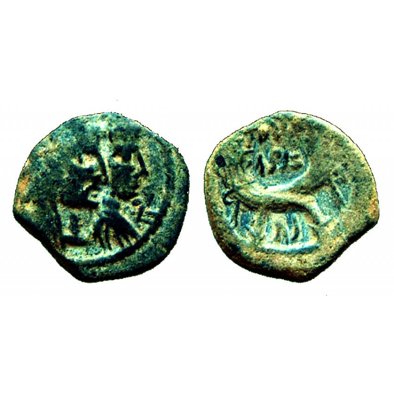 Nabatea - Aretas IV et Shaqilath - Ae19