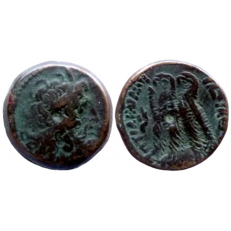 Egypte - Ptolemée VI et VIII - Bronze