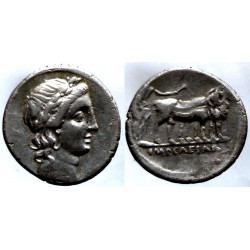 Octavian - Denar - Ric. 272