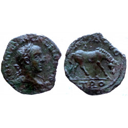 Gallien - Unité bronze - Troas