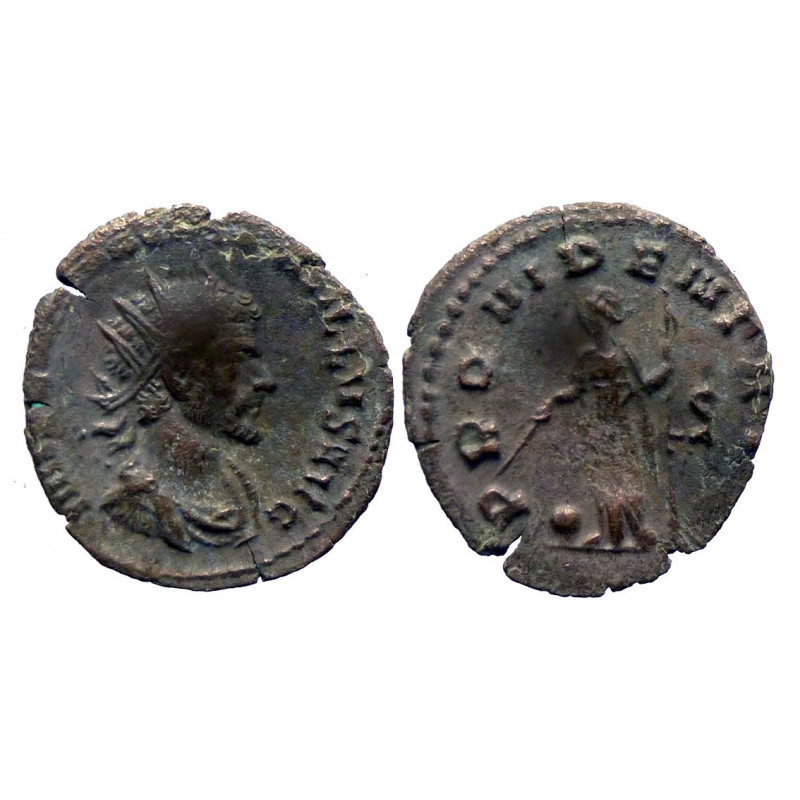 Quintillus - Ae Antoninianus - PROVIDENT AVG