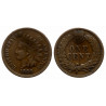 USA - 1 cent Indian Head 1880
