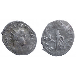 Gallienus - Antoninianus - SPES PVBLICA