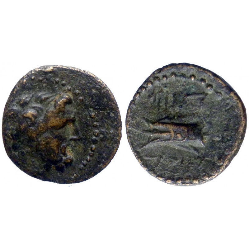 Phénicie - Arados - Hémichalque