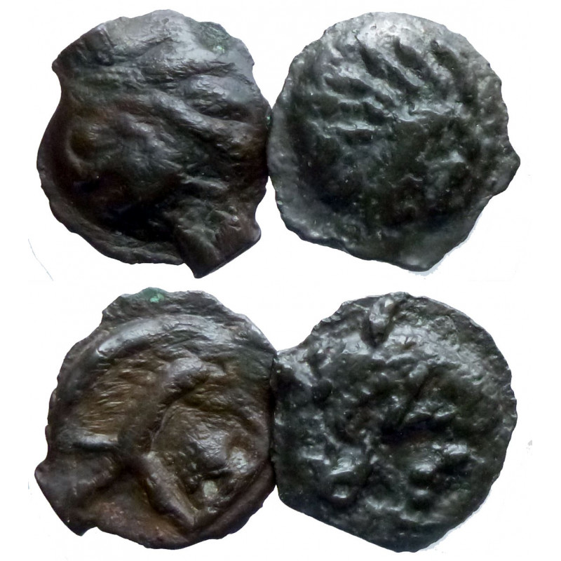 Lot de 2 potins gaulois