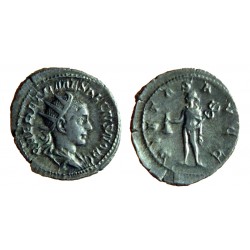 Herennius Etruscus - Antoninianus - PIETAS AVGG