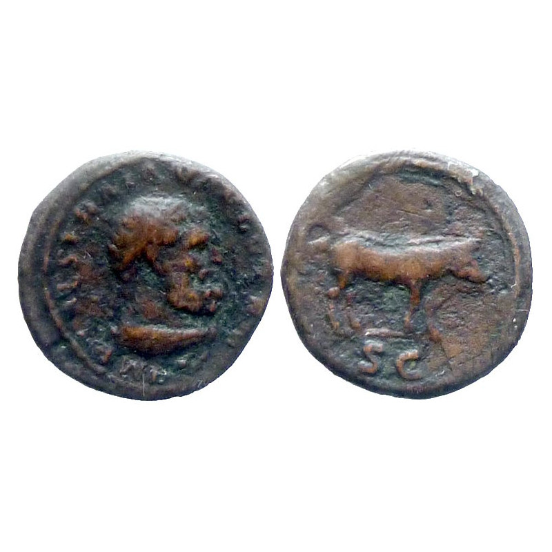 Trajan - Quadrans - Boar