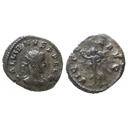 Gallien - Antoninianus - VICTORIA AVG - Antioch