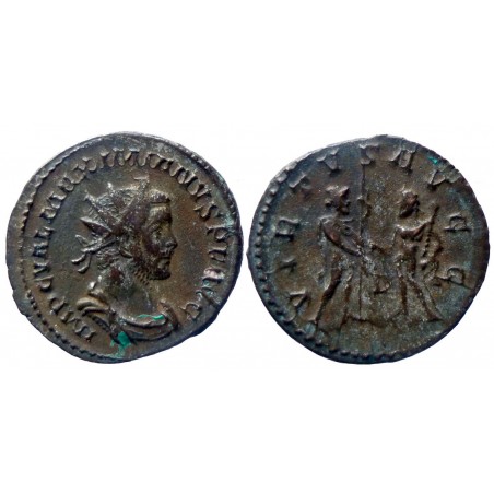 Maximianus - Aurelianus - VIRTVS AVGG - Lyon