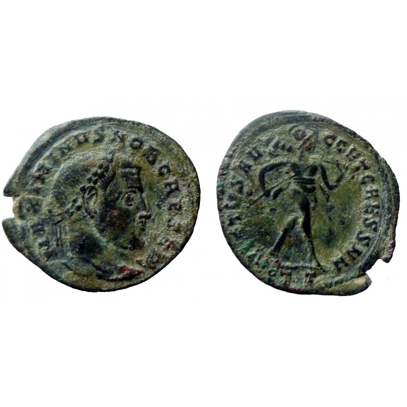 Maximinus II - Follis - Ticinum